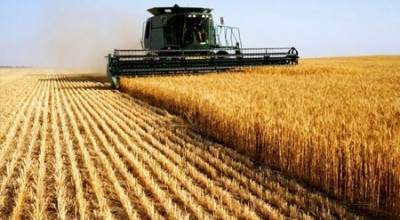 مؤشر منظمة الأغذية والزراعة لأسعار الغذاء